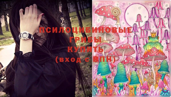 гашик Зеленодольск